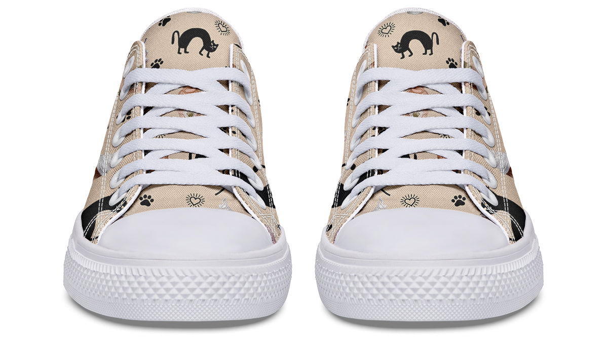Cozy Coffee Cat Low Tops
