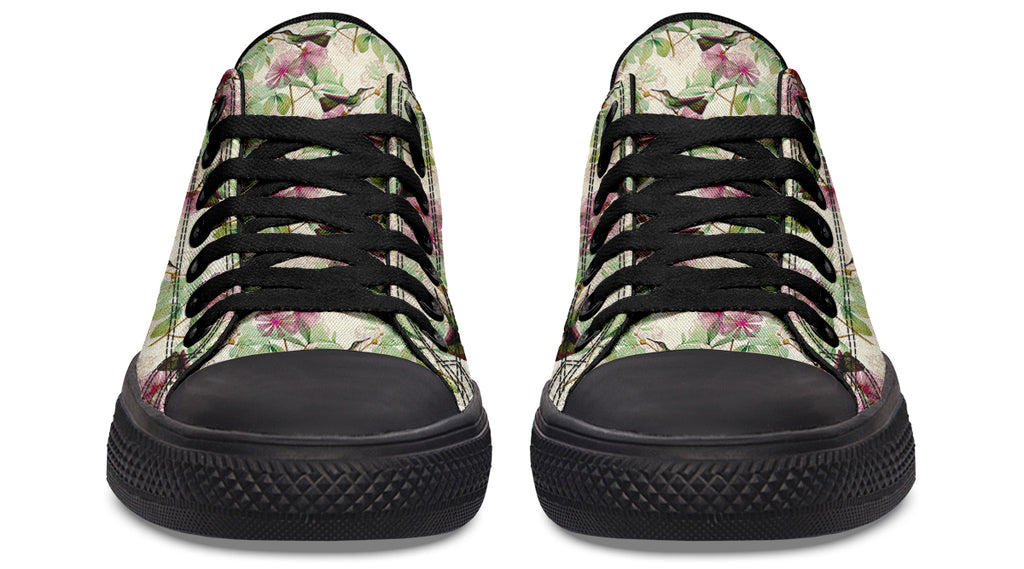 Hummingbirds Low Tops - Offbeat Sweetie