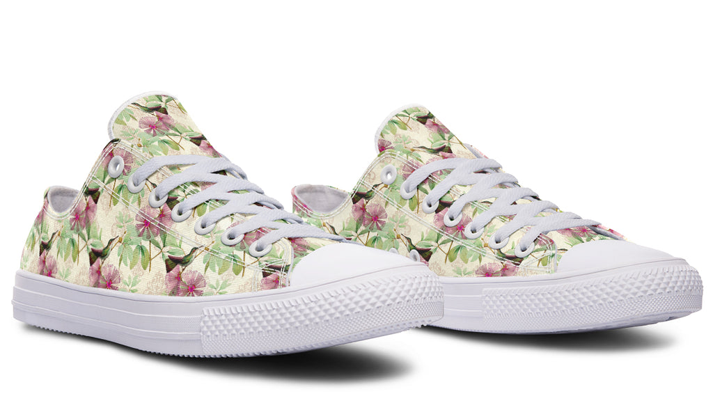 Hummingbirds Low Tops - Offbeat Sweetie