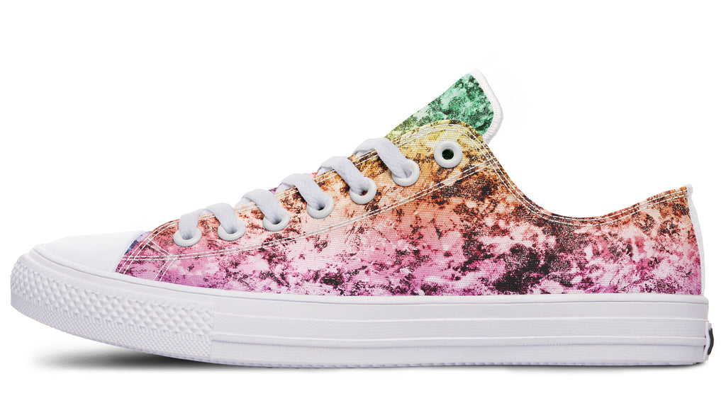 Rainbow Grunge Low Tops - Offbeat Sweetie
