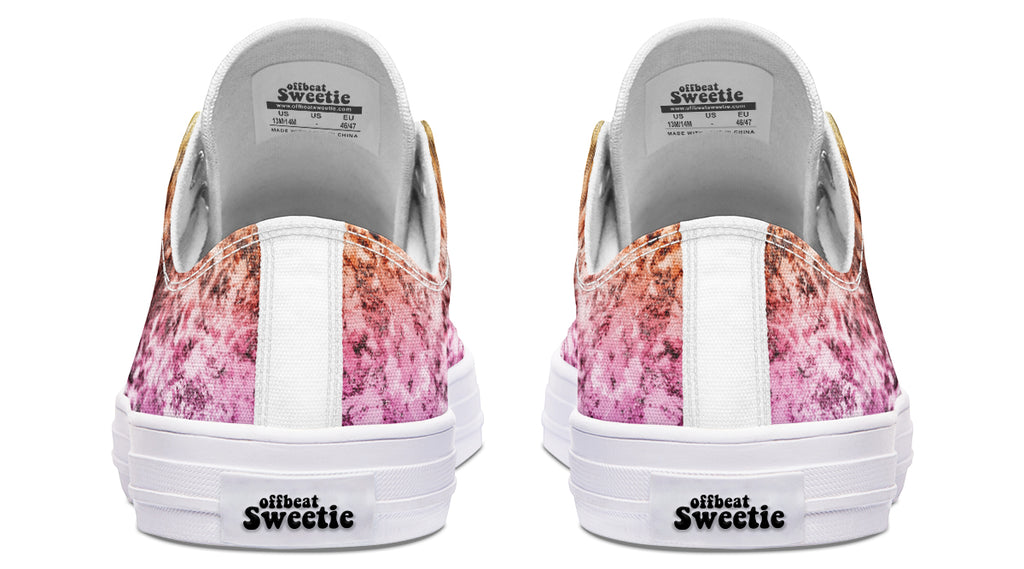 Rainbow Grunge Low Tops - Offbeat Sweetie