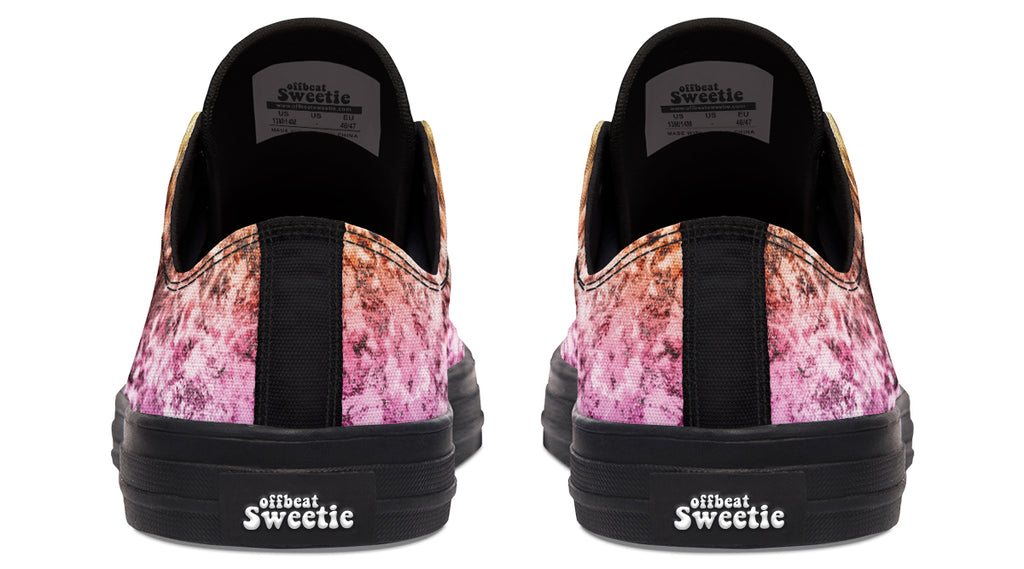 Rainbow Grunge Low Tops (Wide)