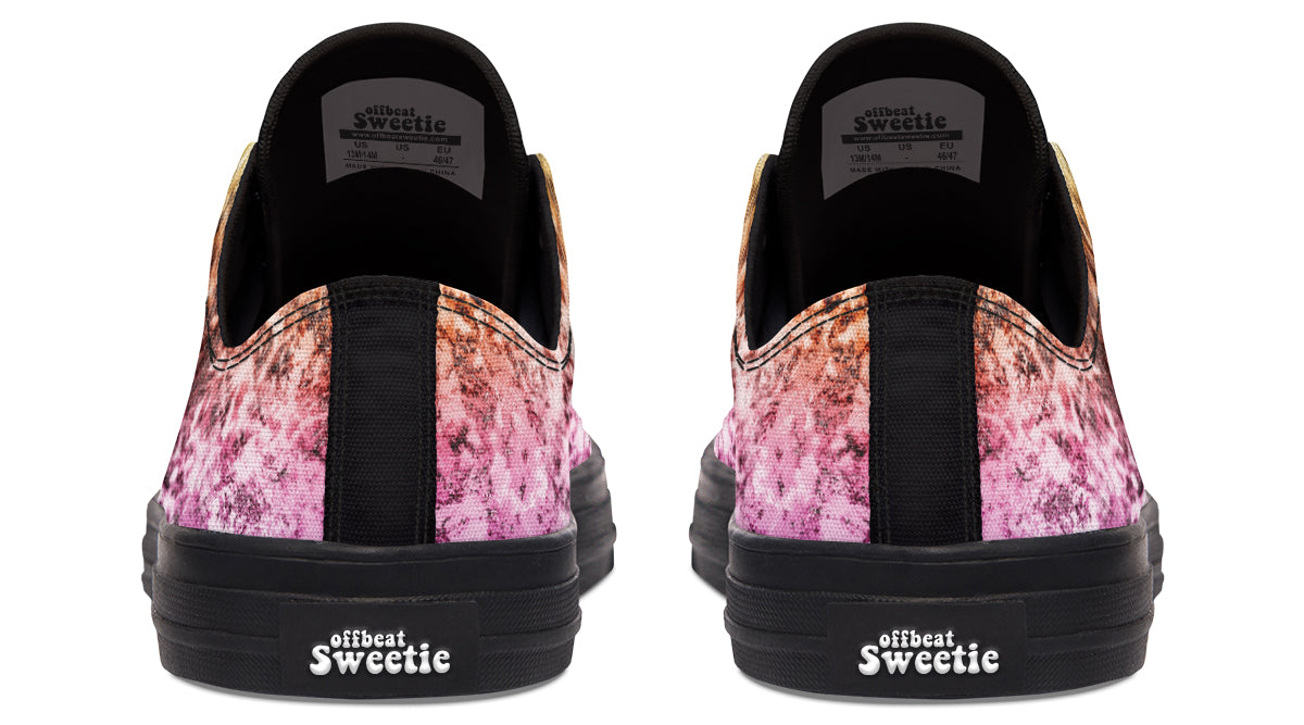 Rainbow Grunge Low Tops (Wide)